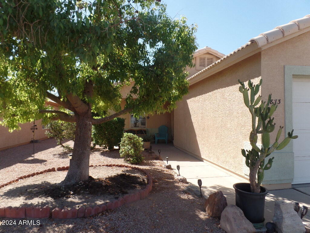 1873 West Renaissance Avenue Apache Junction, AZ 85120 - Photo 3 of 18 a view of a tree in front of a house