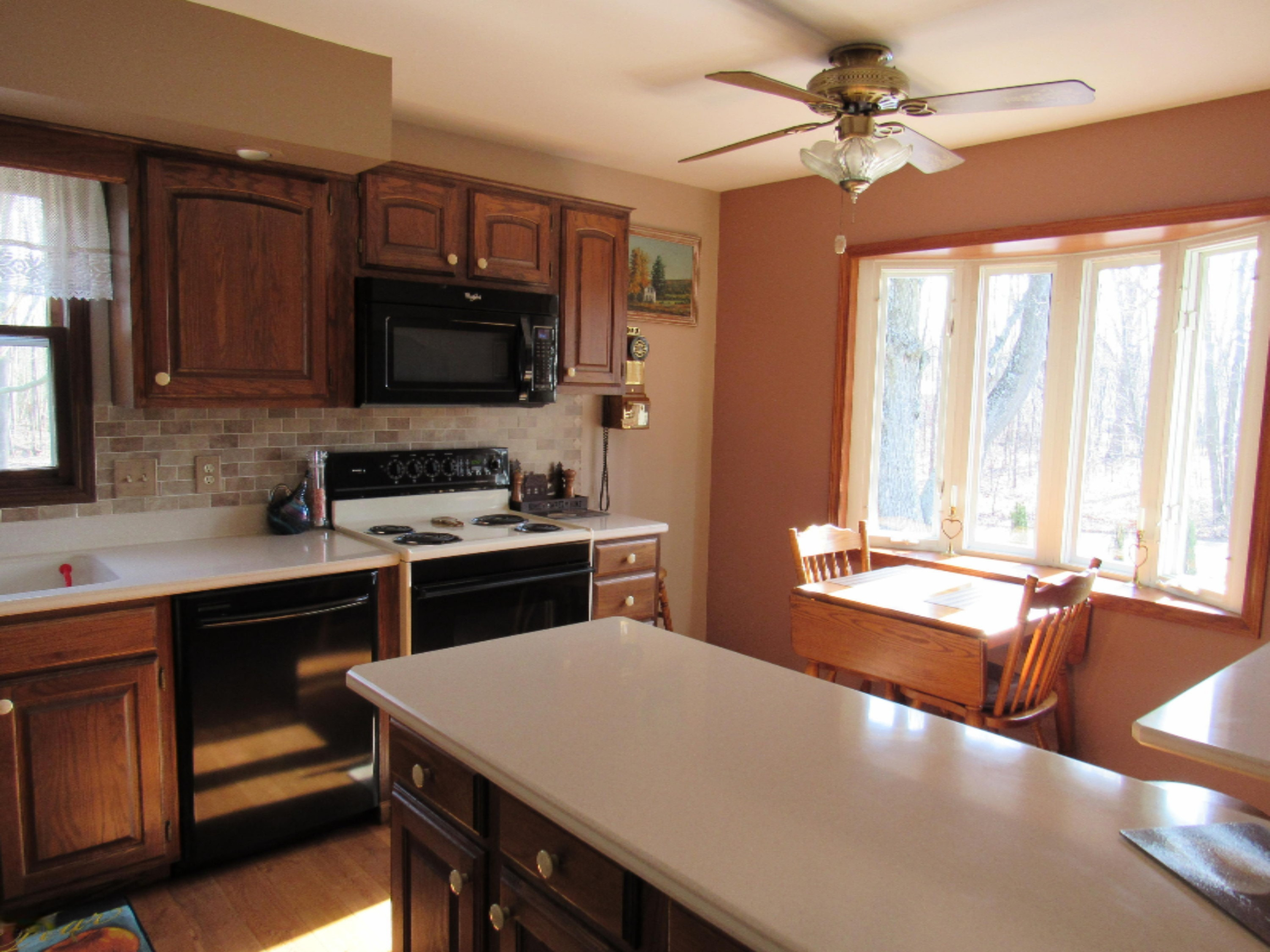 971 18 Mile Road Kent City, MI 49330 - Photo 11 of 41 IMG_0037 - Copy