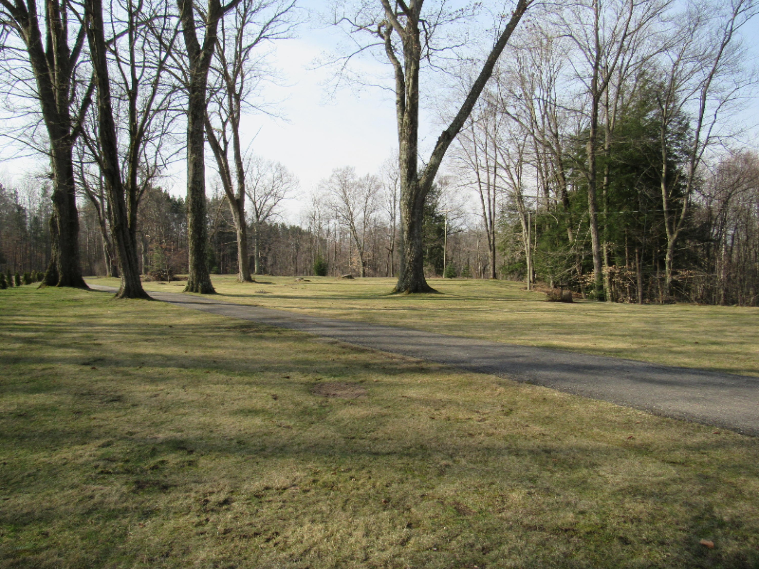 971 18 Mile Road Kent City, MI 49330 - Photo 20 of 41 IMG_0004 - Copy