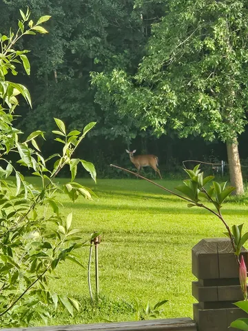 $584,000 | 14750 Matson Road, Frazee, MN 56544