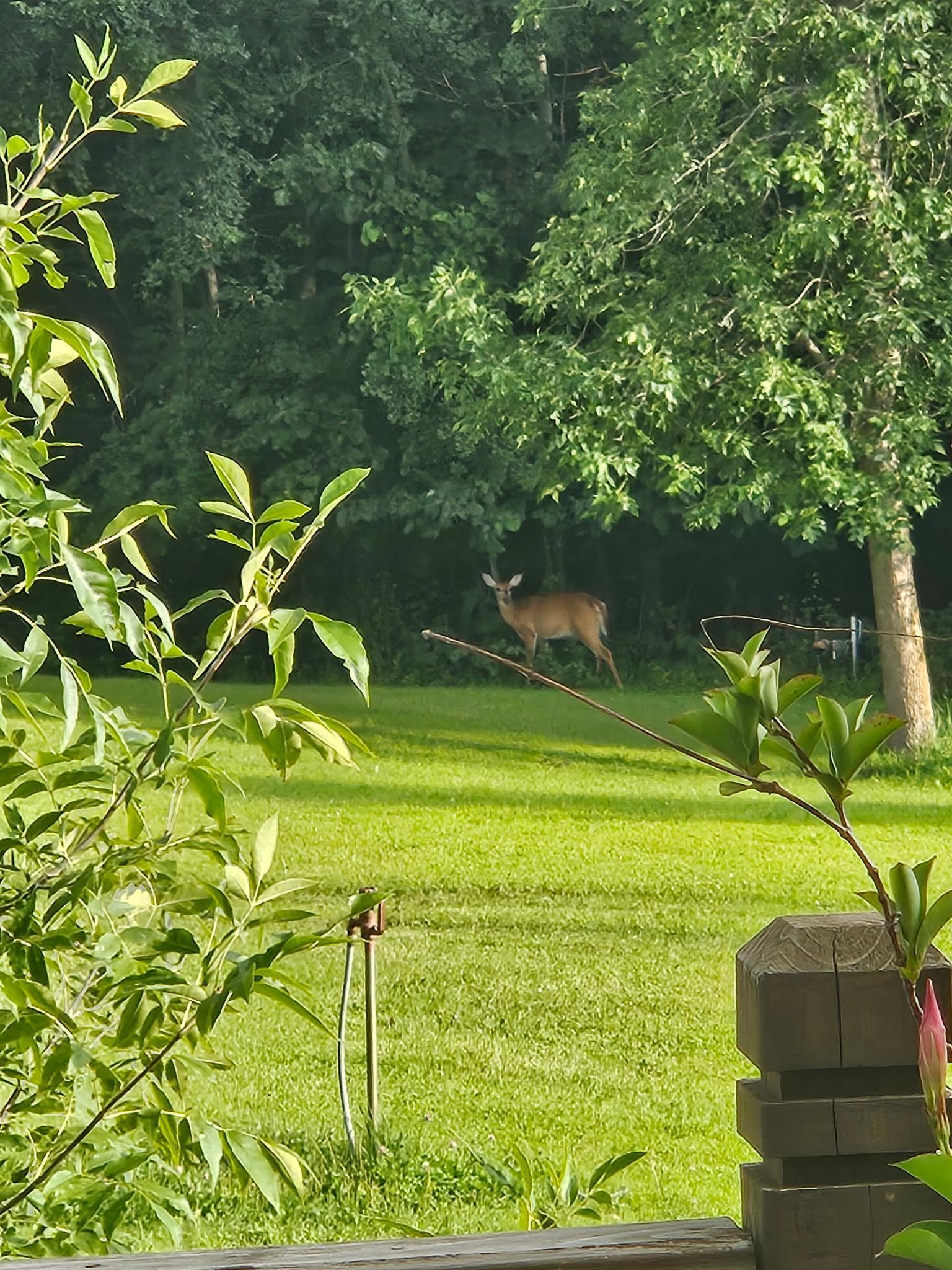 14750 Matson Road Frazee, MN 56544 - Photo 48 of 53