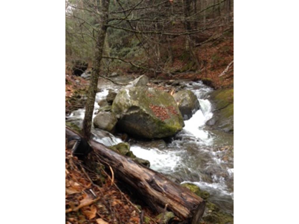 362 Marsh Brook Road Rochester, VT 05767 - Photo 1 of 7