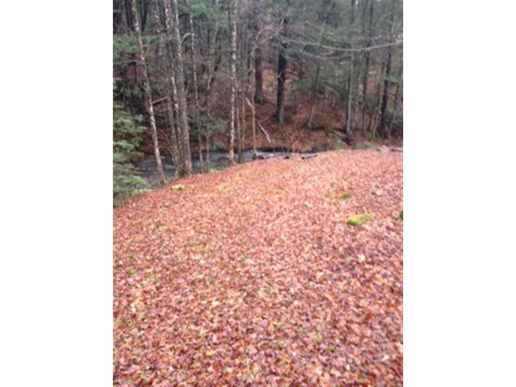 362 Marsh Brook Road Rochester, VT 05767 - Photo 5 of 7