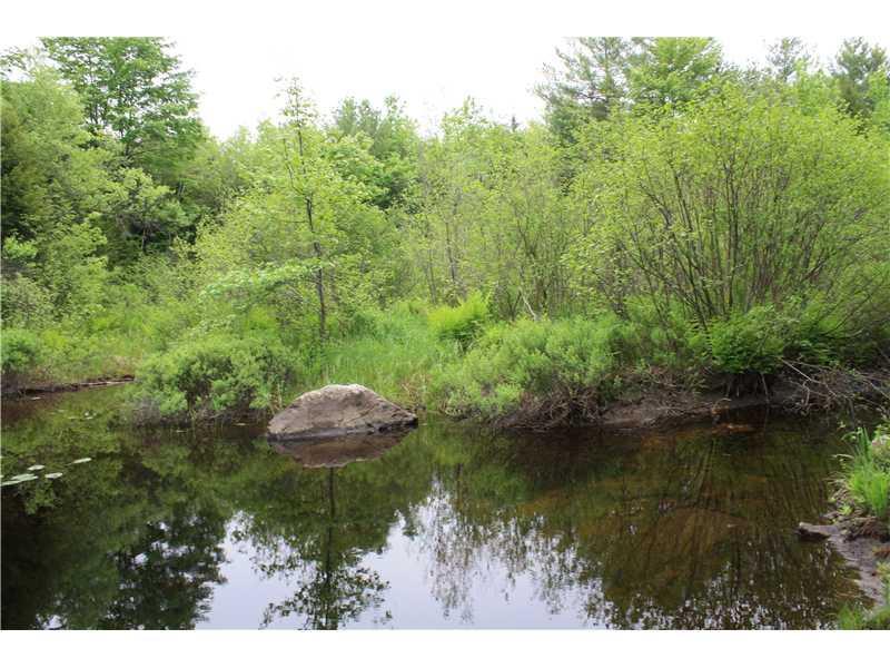 35 Lewis Hill Road Newfield, ME 04095 - Photo 17 of 23 Land. Pond