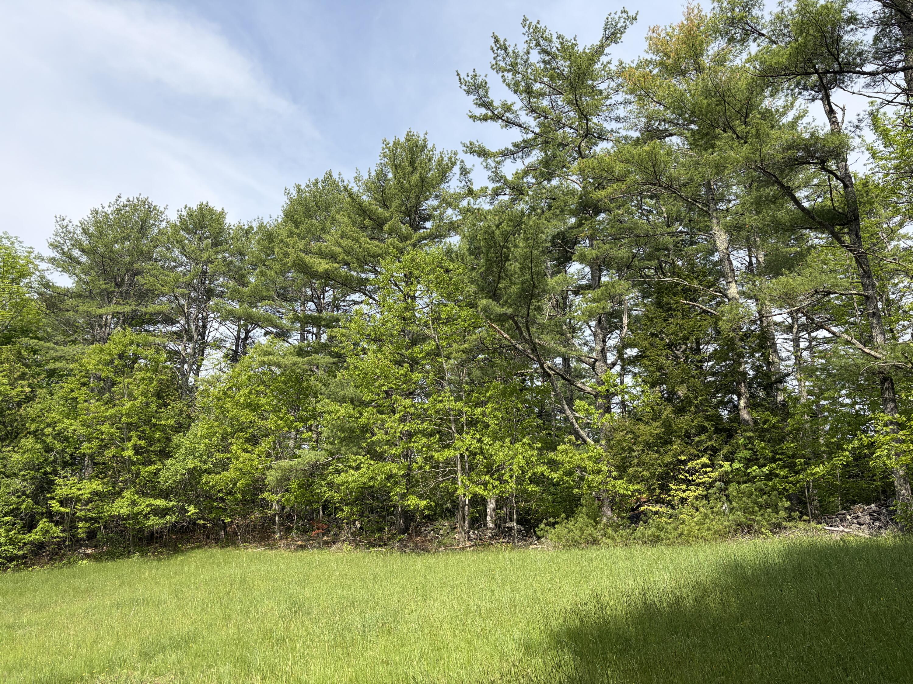 Lot 1 Waldoboro Road Washington, ME 04574 - Photo 18 of 39