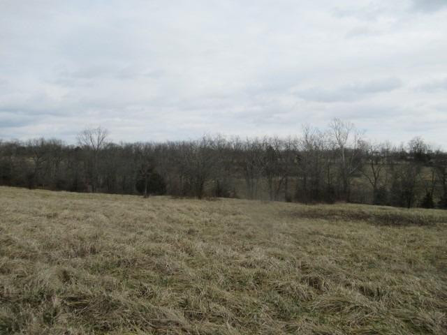 1939 Switzer Road Stamping Ground, KY 40379 - Photo 23 of 26 Photo 23