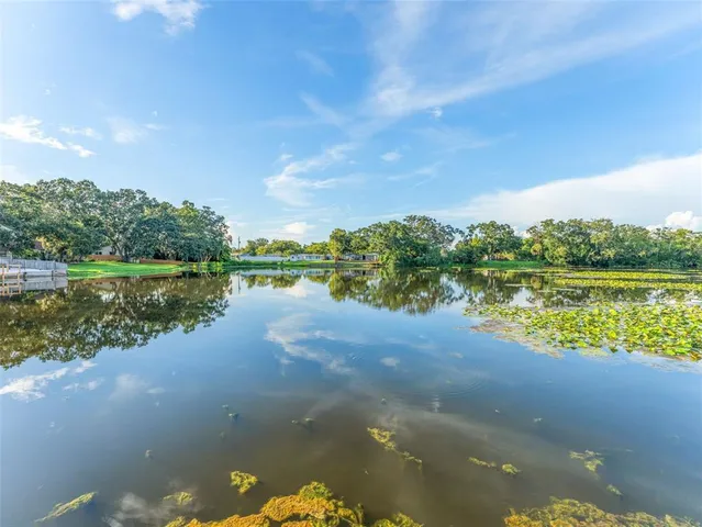 $600,000 | 1005 Samy Drive, Tampa, FL 33613