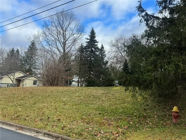 $20,000 | 17 Hatfield Avenue, Sidney, NY 13838
