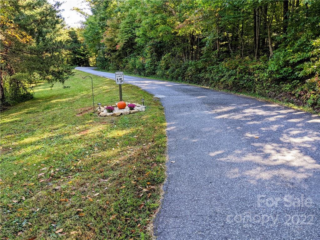 V/l High Peak Terrace Road Morganton, NC 28655 - Photo 3 of 18