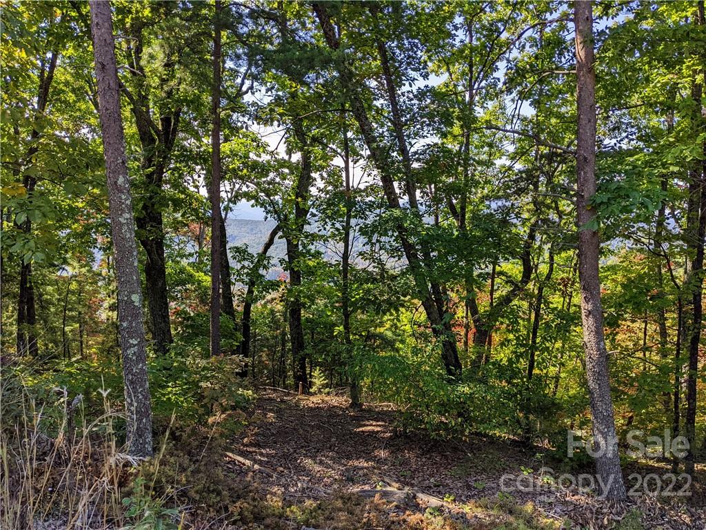 V/l High Peak Terrace Road Morganton, NC 28655 - Photo 5 of 18