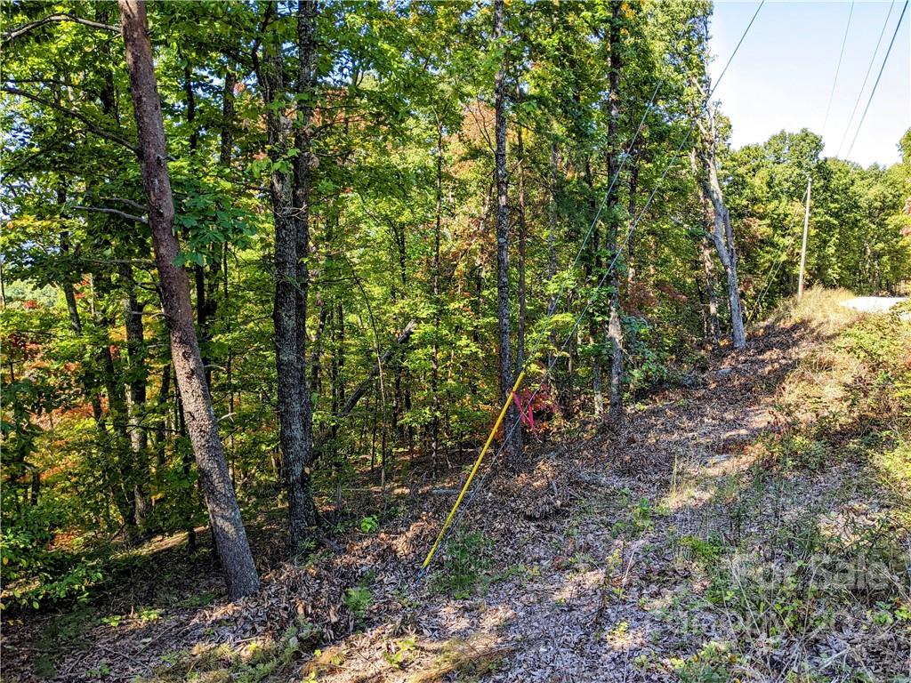 V/l High Peak Terrace Road Morganton, NC 28655 - Photo 6 of 18