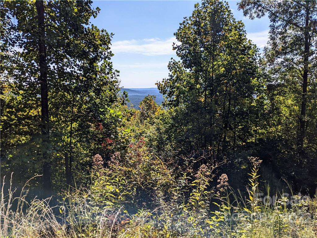 V/l High Peak Terrace Road Morganton, NC 28655 - Photo 7 of 18