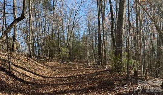 0 Twin Maple Way, Unit 5 Mill Spring, NC 28756 - Photo 7 of 15