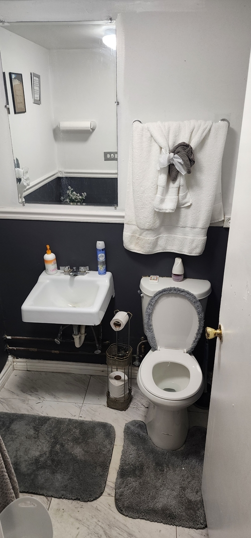 9312 South Halsted Street Chicago, IL 60620 - Photo 27 of 32 a bathroom with a sink toilet and a mirror