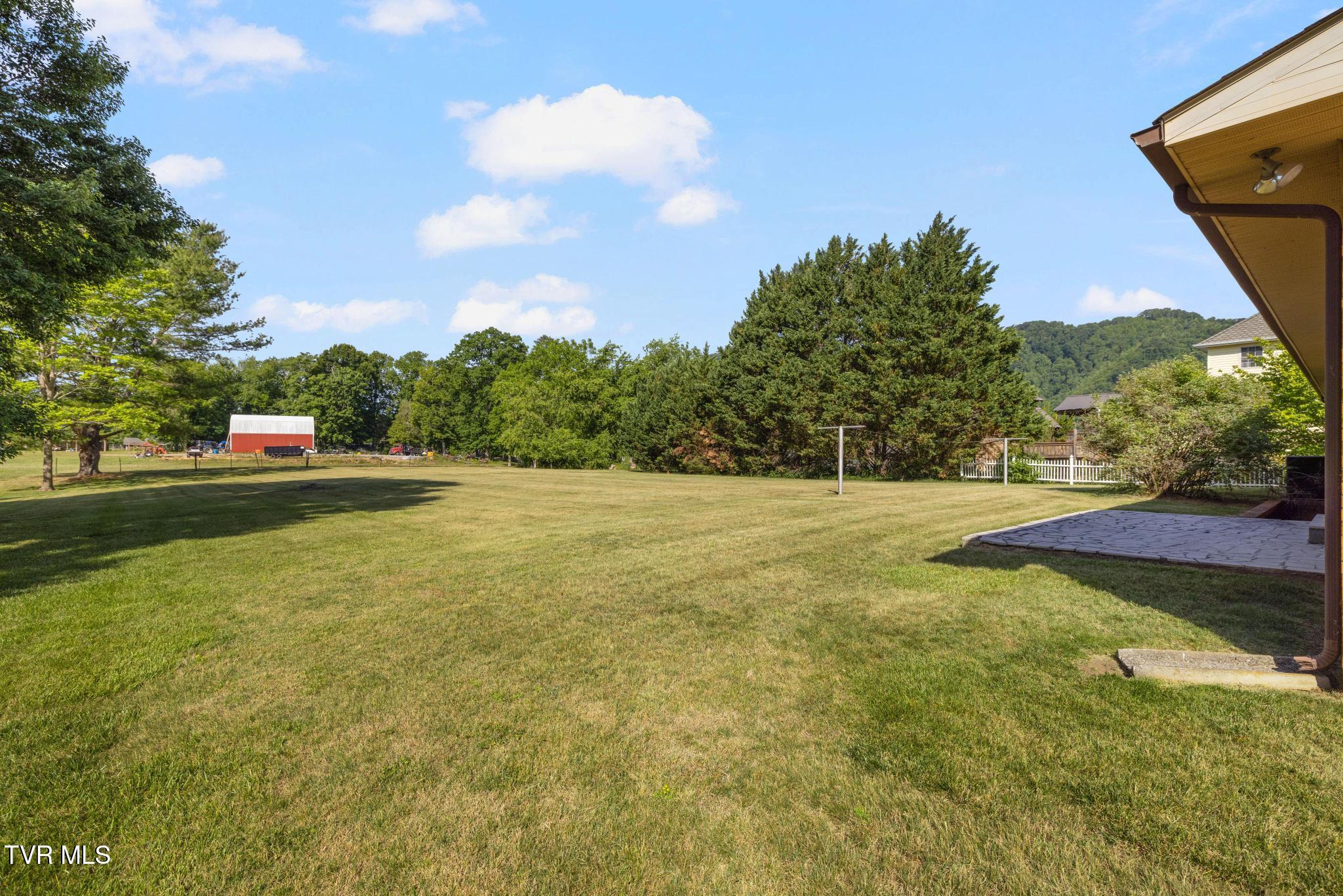 320 Mountain View Street Erwin, TN 37650 - Photo 37 of 44 Backyard