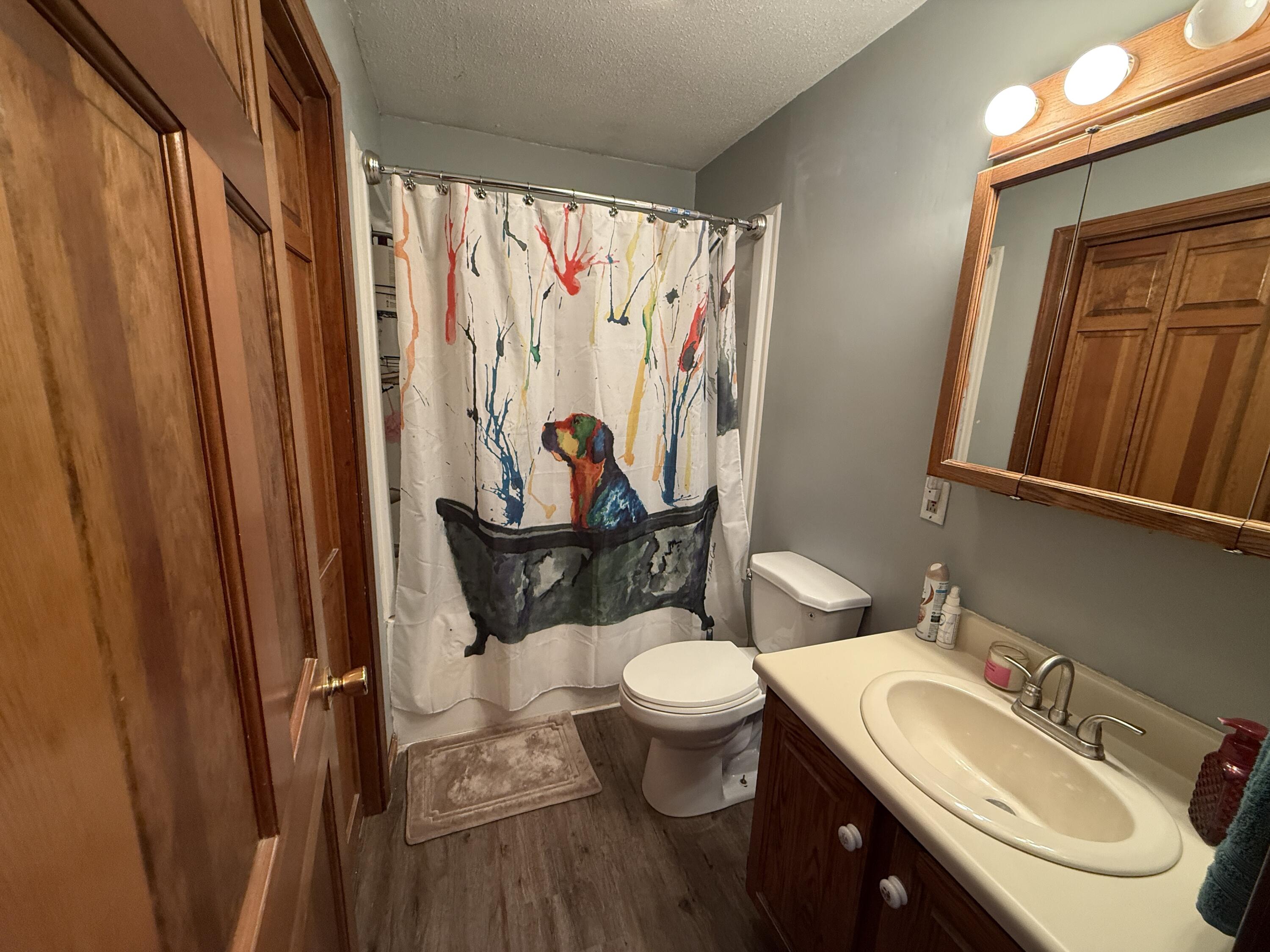 1673 Ludlow Road Ludlow, ME 04730 - Photo 23 of 53 Bathroom # 2
