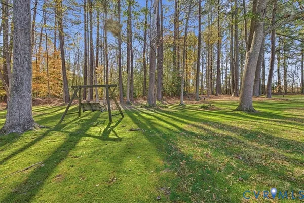 a view of a park with a tree