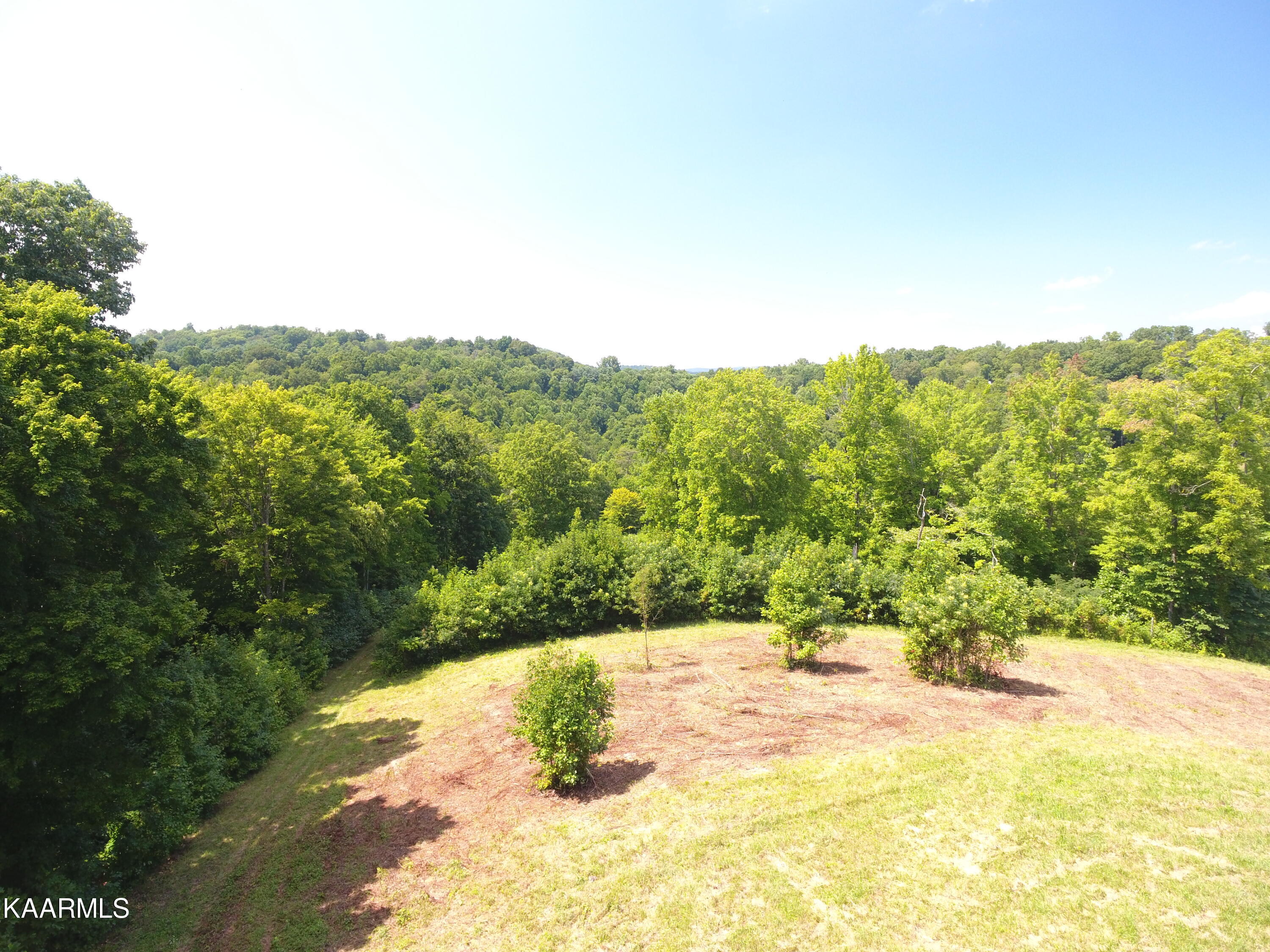 2765 Oak Grove Road Rocky Top, TN 37769 - Photo 3 of 11 DJI_0002