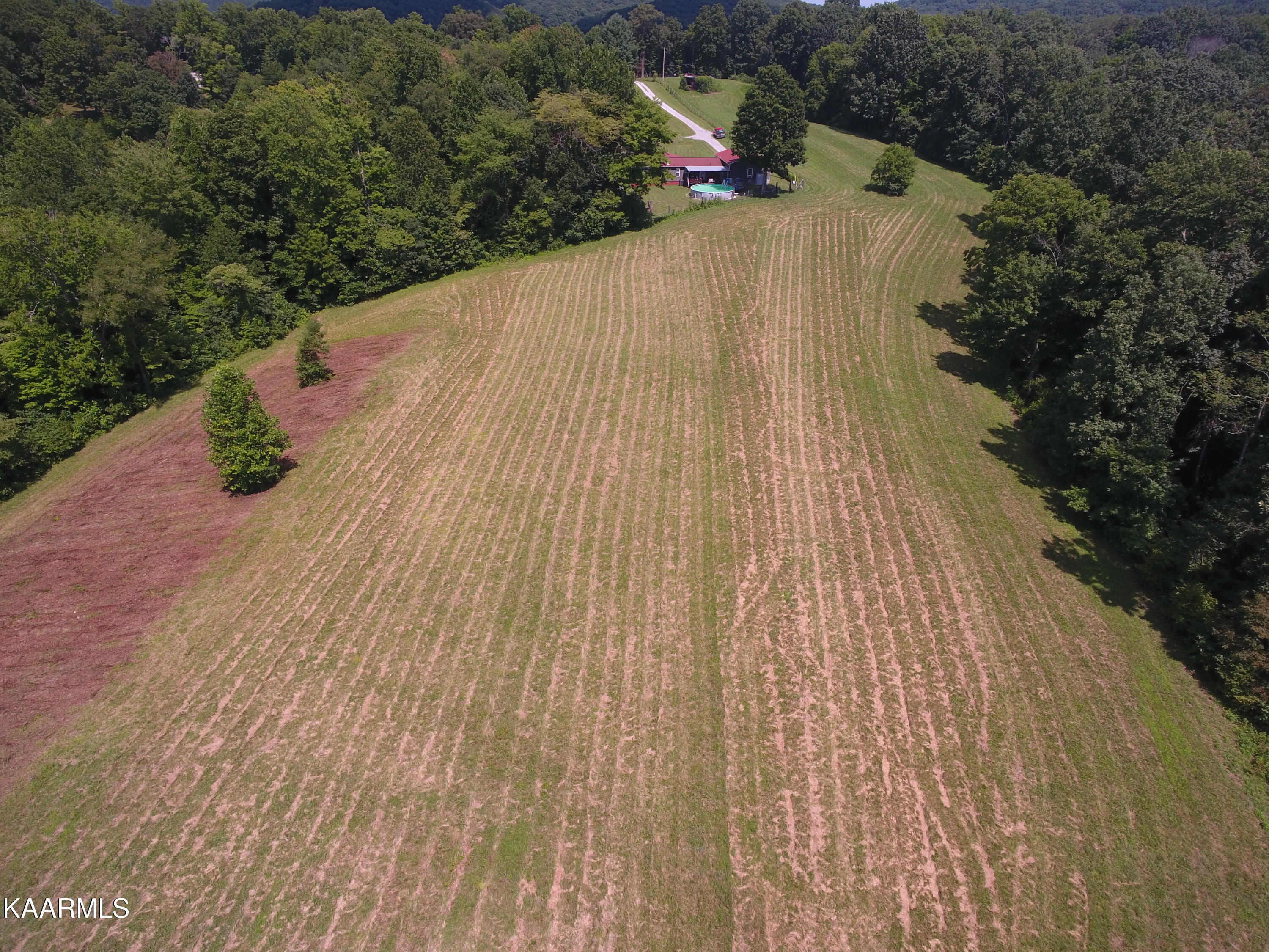 2765 Oak Grove Road Rocky Top, TN 37769 - Photo 4 of 11 DJI_0007