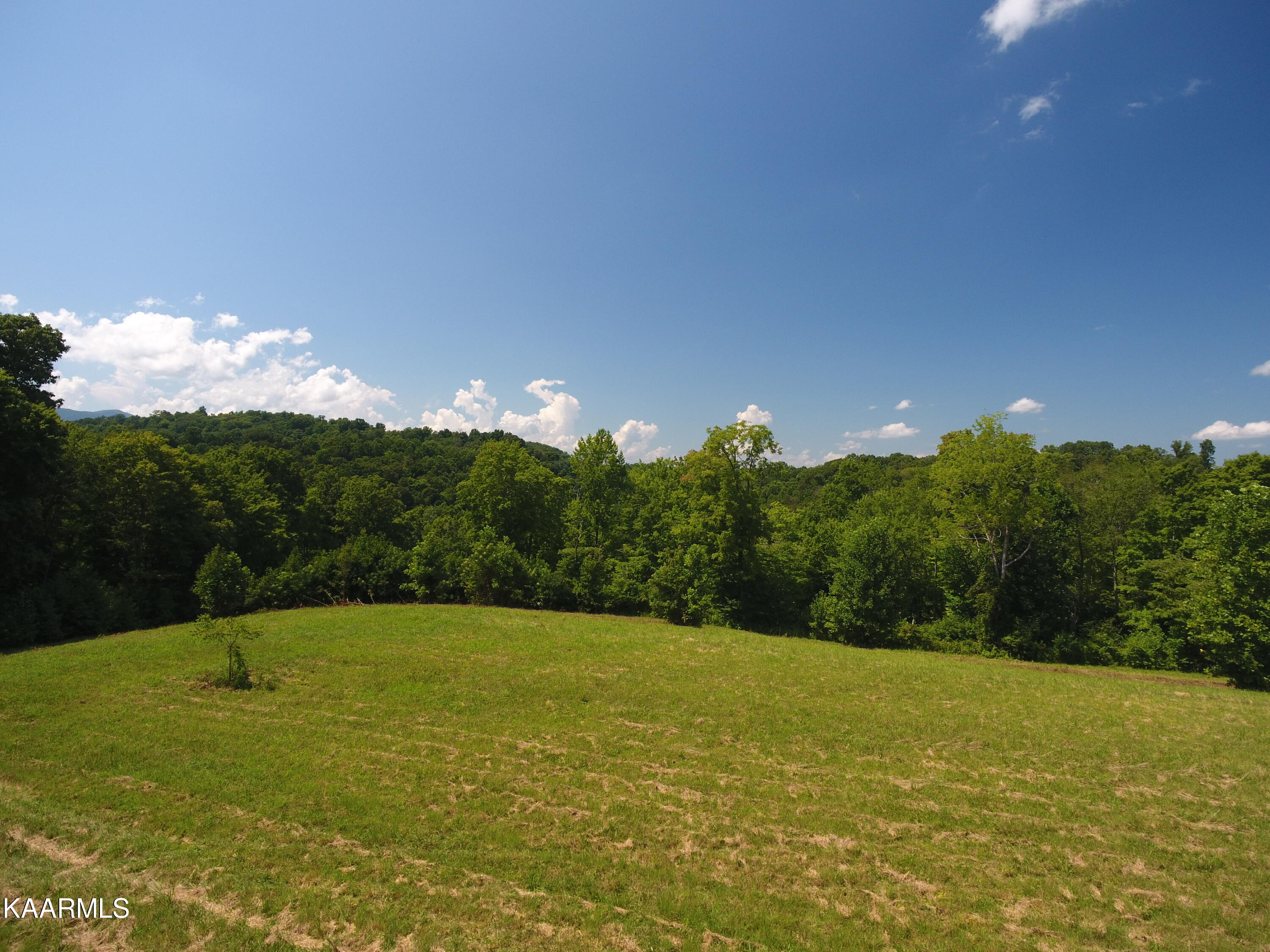 2765 Oak Grove Road Rocky Top, TN 37769 - Photo 7 of 11 DJI_0022