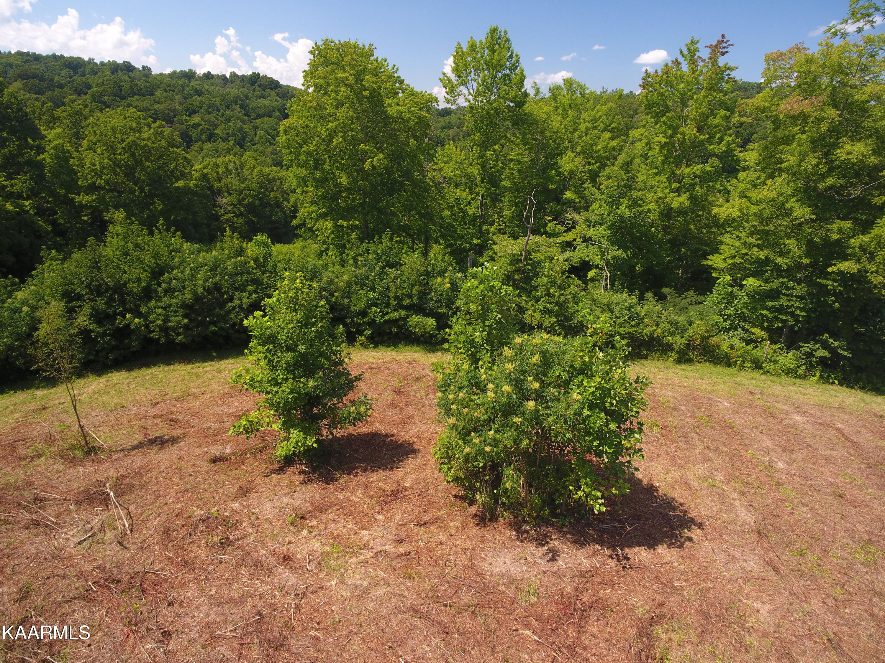 2765 Oak Grove Road Rocky Top, TN 37769 - Photo 8 of 11 DJI_0030