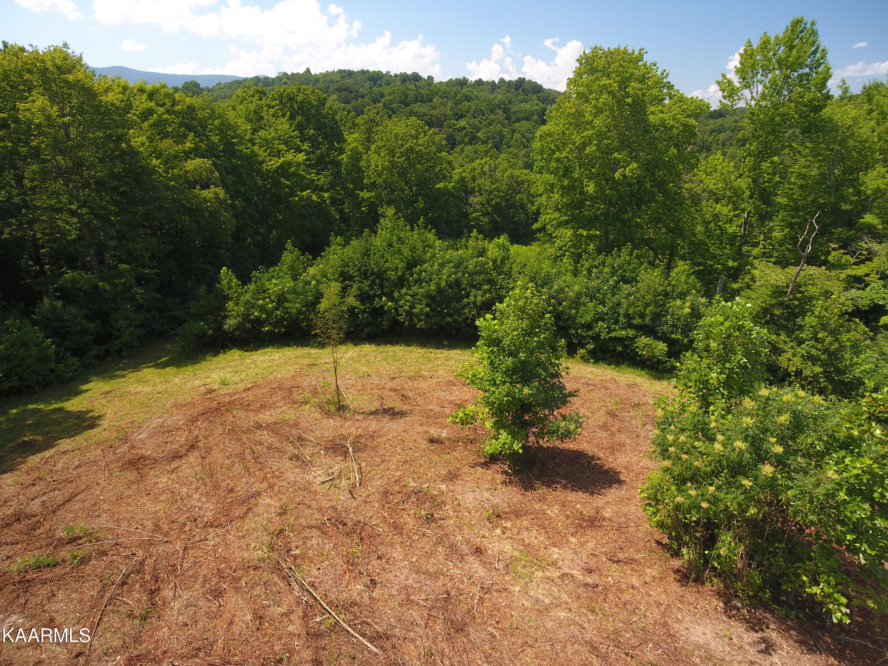 2765 Oak Grove Road Rocky Top, TN 37769 - Photo 9 of 11 DJI_0034