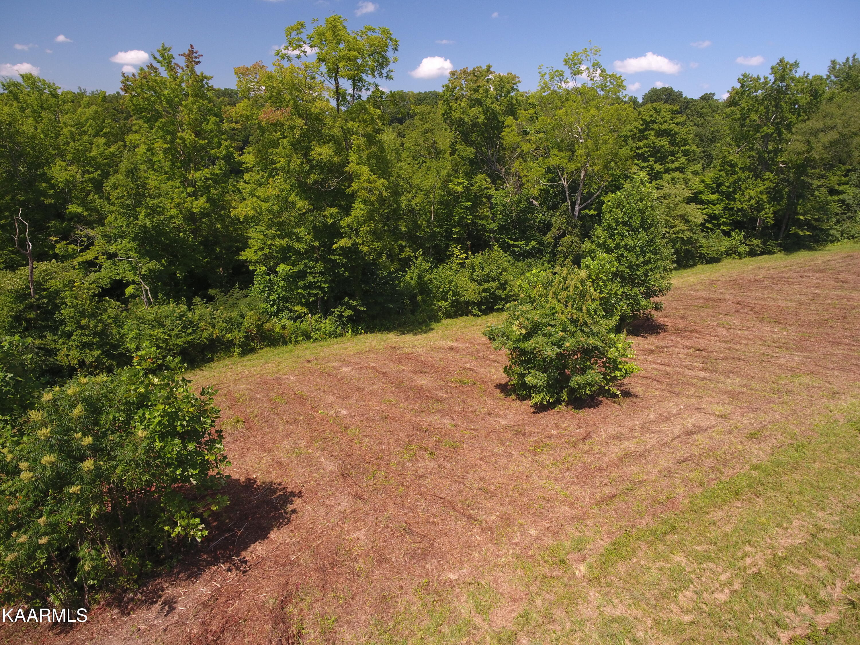 2765 Oak Grove Road Rocky Top, TN 37769 - Photo 10 of 11 DJI_0035