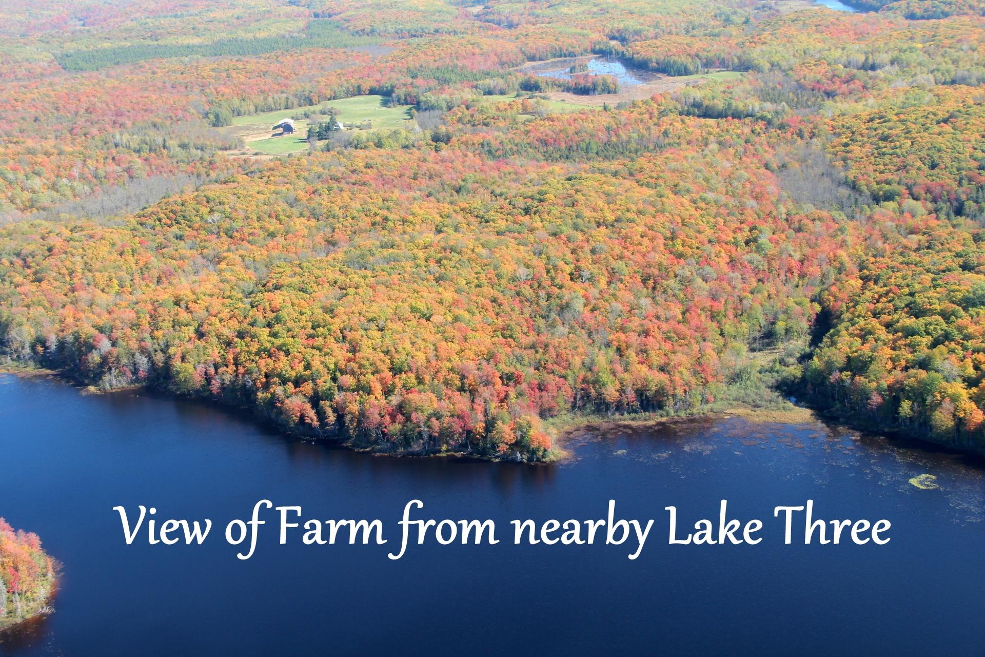 63999 Wolanek Road, Unit 313 ACRES Marengo, WI 54855 - Photo 14 of 93