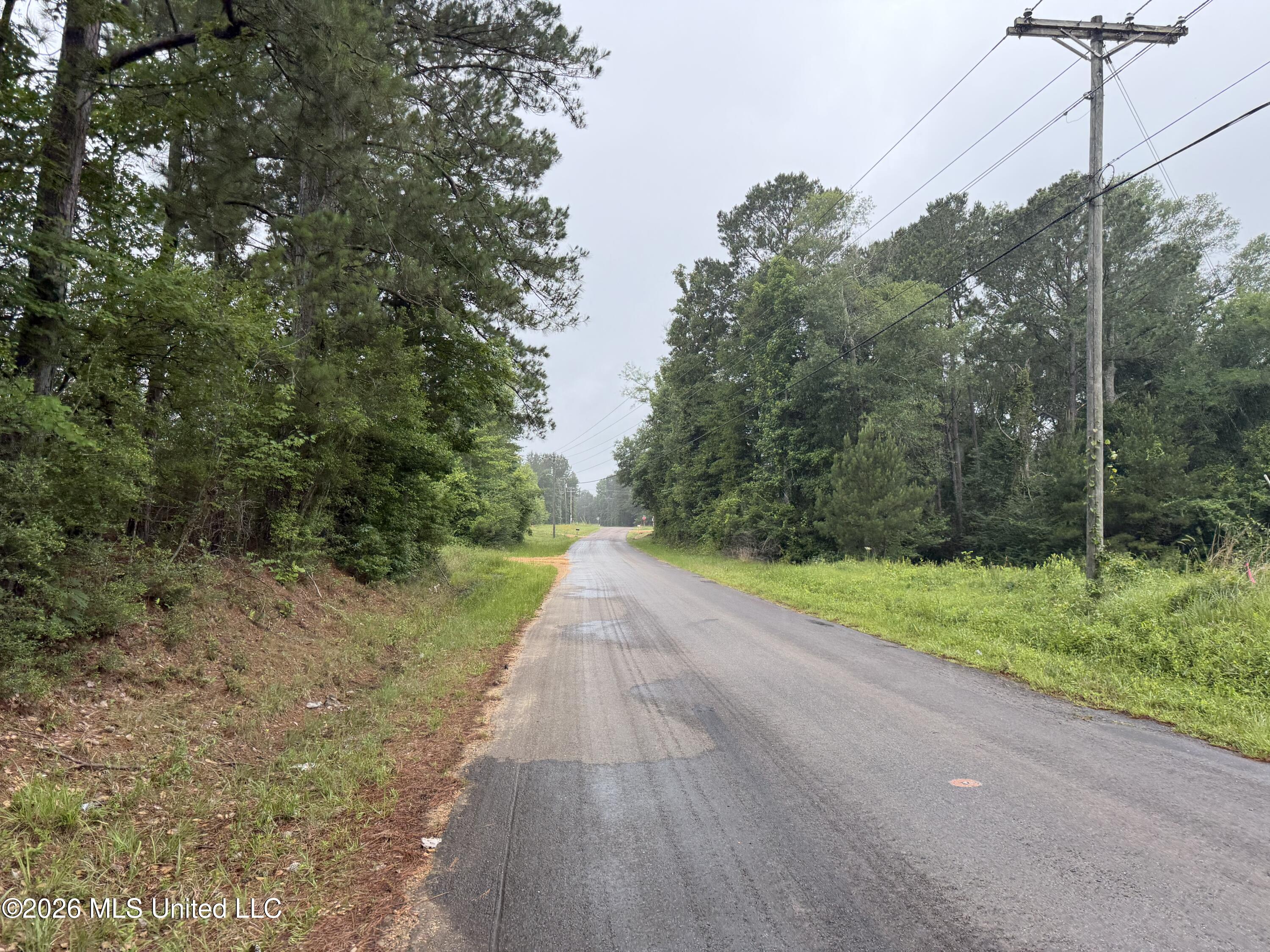 Shell Oil Rd Summit Ruth, MS 39662 - Photo 11 of 15 IMG_7291