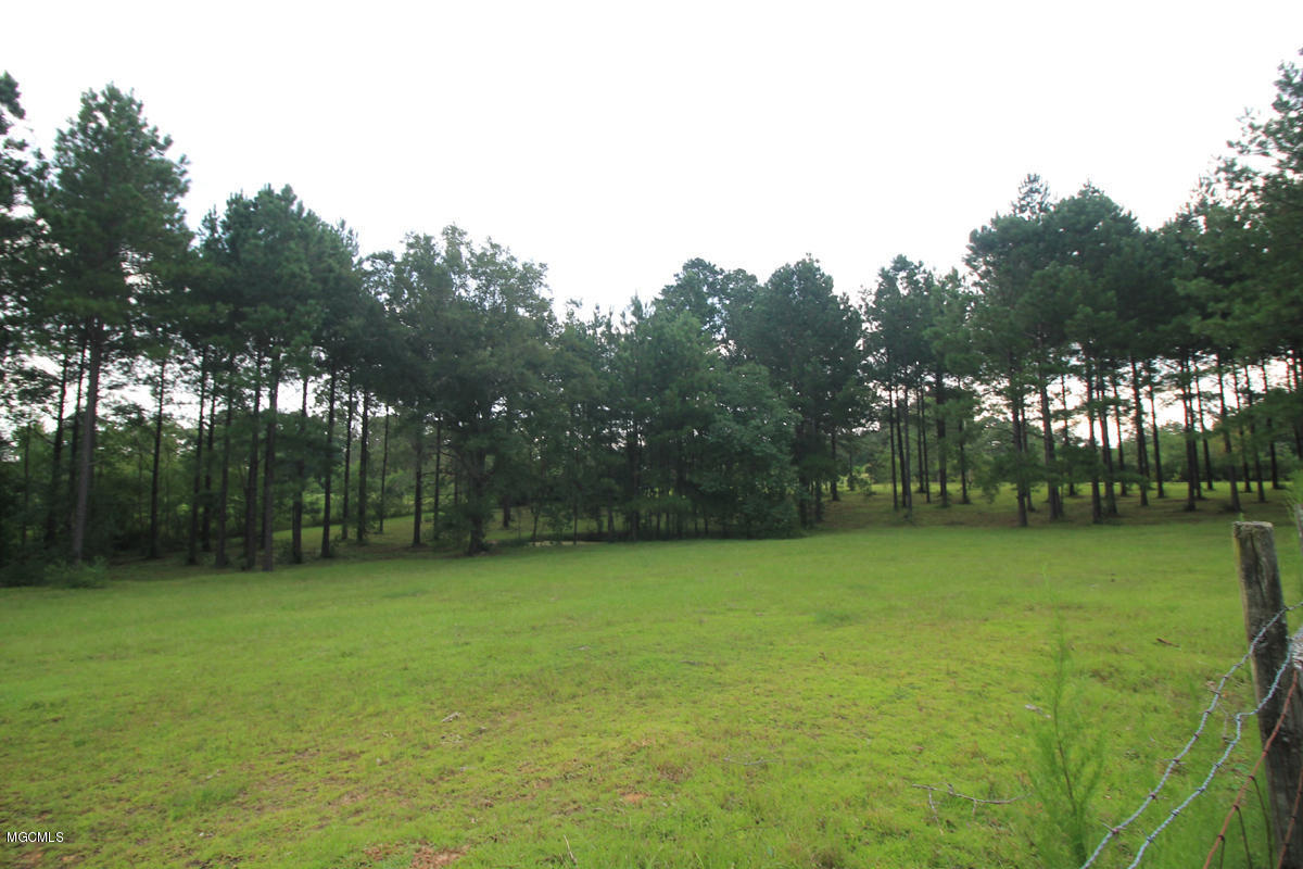 1596 Freeman Town Road Richton, MS 39476 - Photo 24 of 38 4 (2)