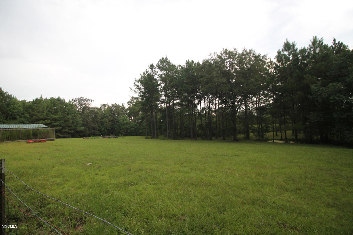 1596 Freeman Town Road Richton, MS 39476 - Photo 26 of 38 4 (4)