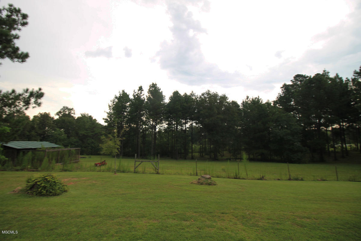 1596 Freeman Town Road Richton, MS 39476 - Photo 27 of 38 4 (5)