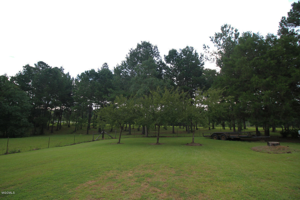 1596 Freeman Town Road Richton, MS 39476 - Photo 28 of 38 4 (6)