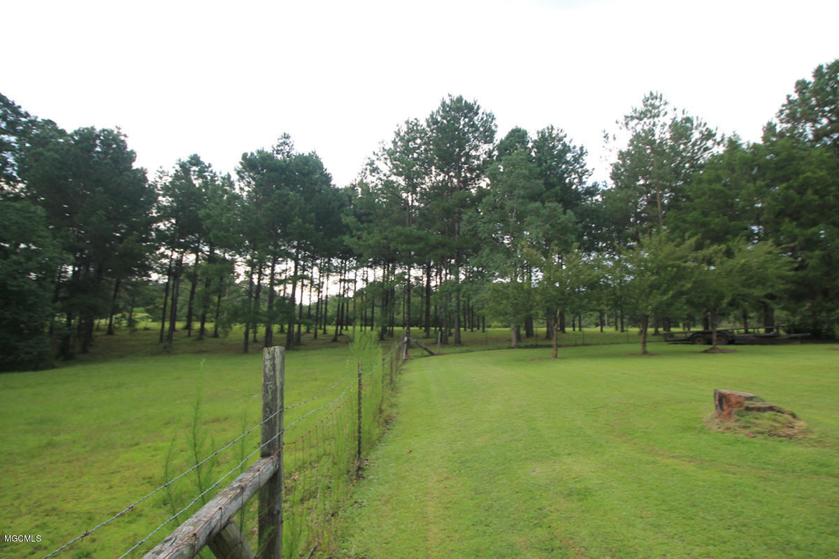 1596 Freeman Town Road Richton, MS 39476 - Photo 29 of 38 4 (7)