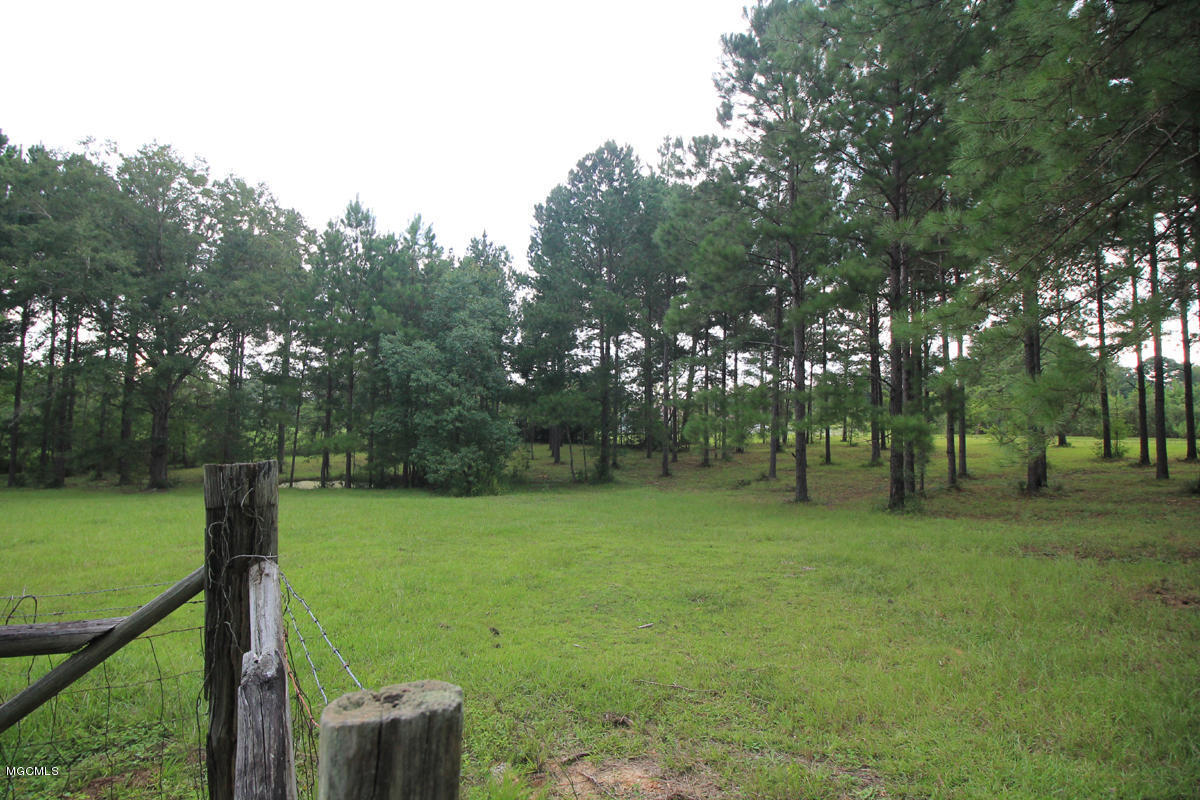 1596 Freeman Town Road Richton, MS 39476 - Photo 30 of 38 4 (8)