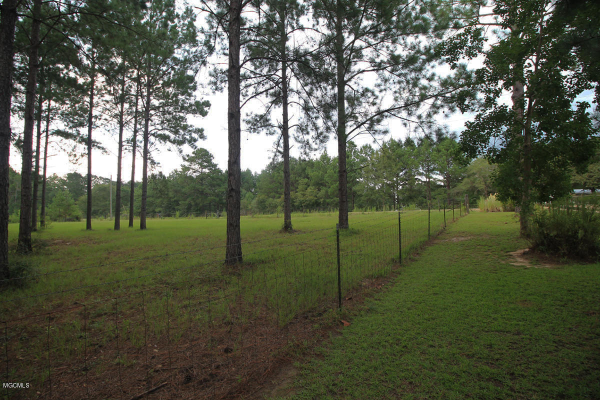 1596 Freeman Town Road Richton, MS 39476 - Photo 31 of 38 4 (9)