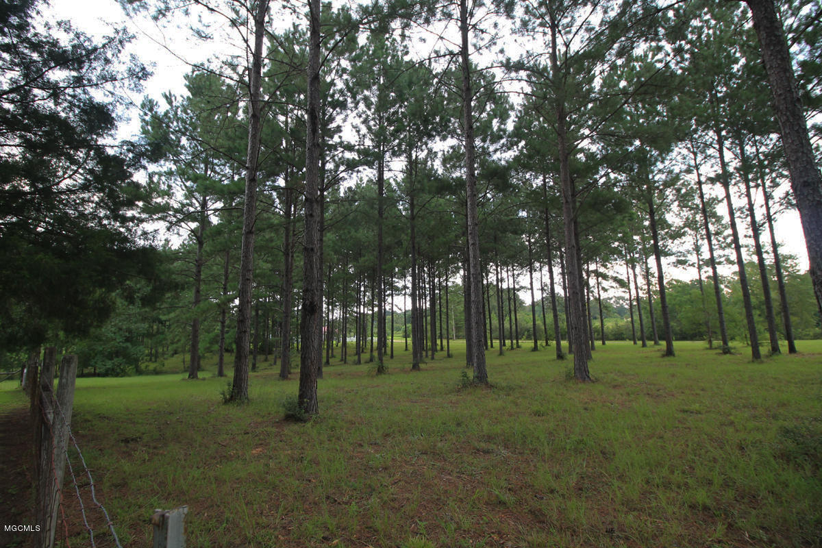 1596 Freeman Town Road Richton, MS 39476 - Photo 32 of 38 4