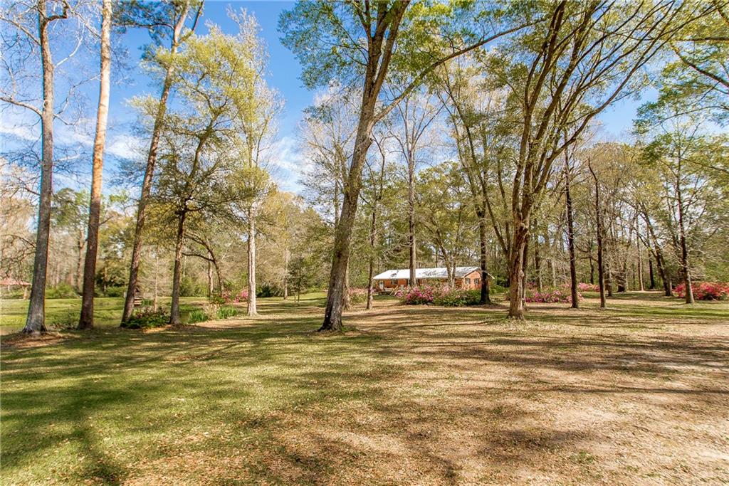 43433 West Pleasant Ridge Road Hammond, LA 70403 - Photo 9 of 34 Gallery Image 9