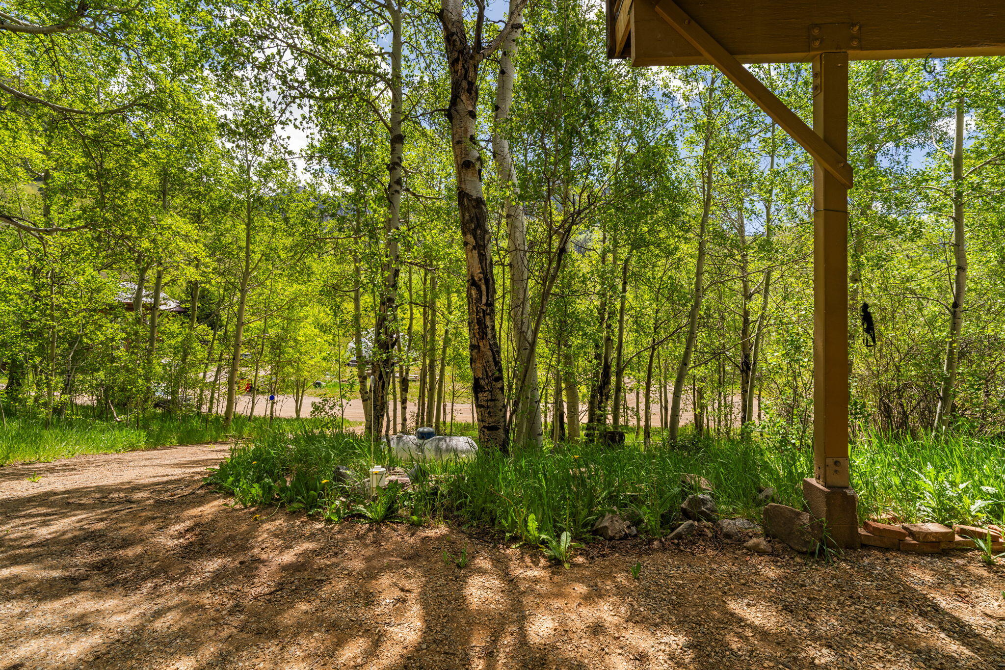 313 North Piedmont Street Rico, CO 81332 - Photo 4 of 43 a view of backyard with green space