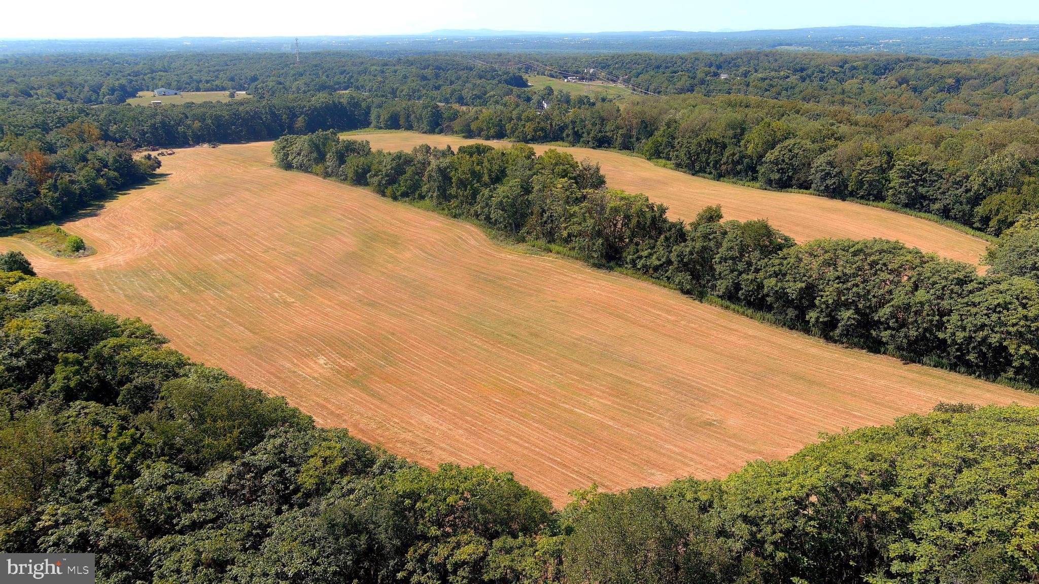Whites Ferry Road Dickerson, MD 20842 - Photo 11 of 19