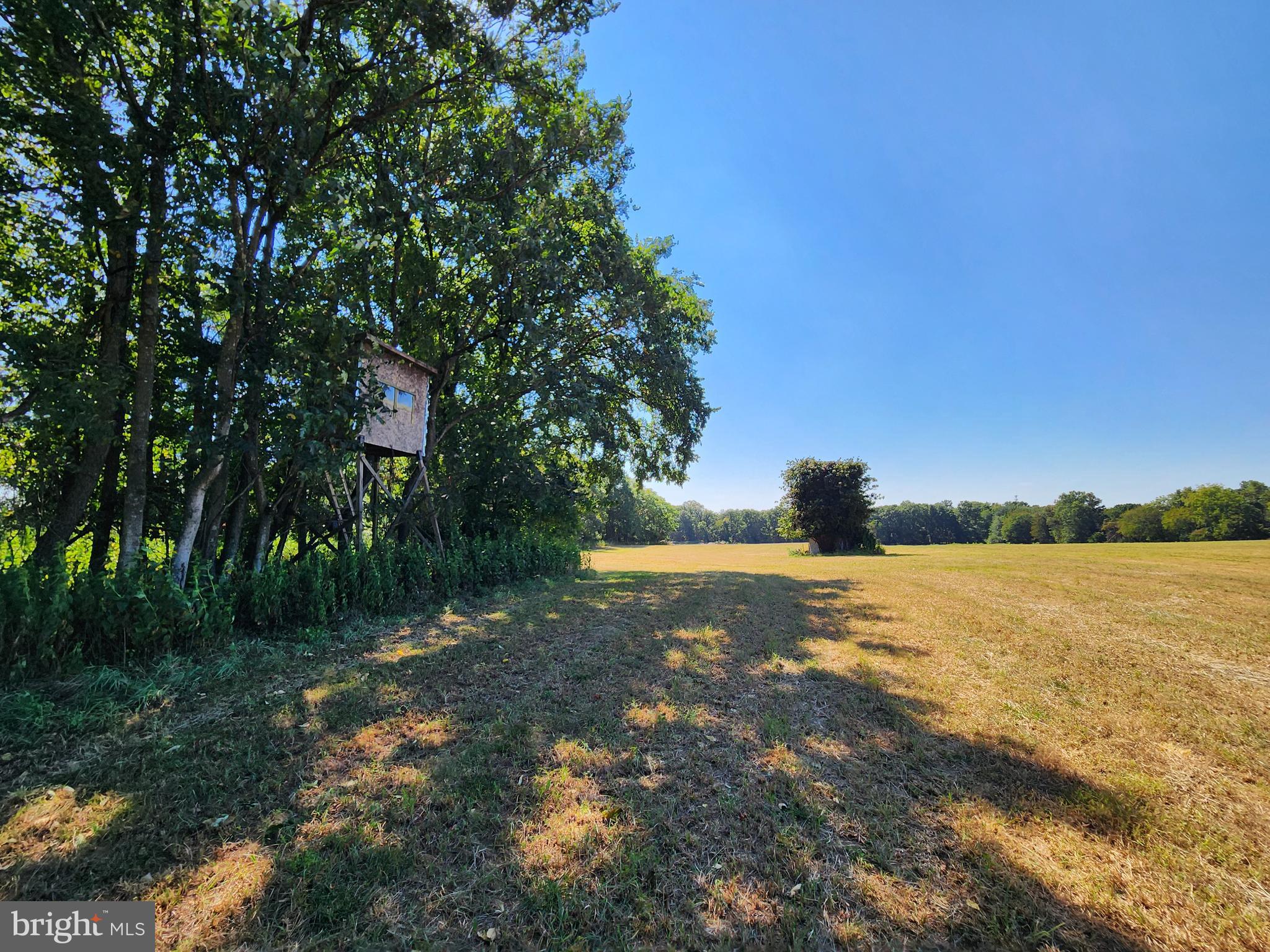 Whites Ferry Road Dickerson, MD 20842 - Photo 14 of 19 Cleared Farmland and Forest Ideal for Hunting