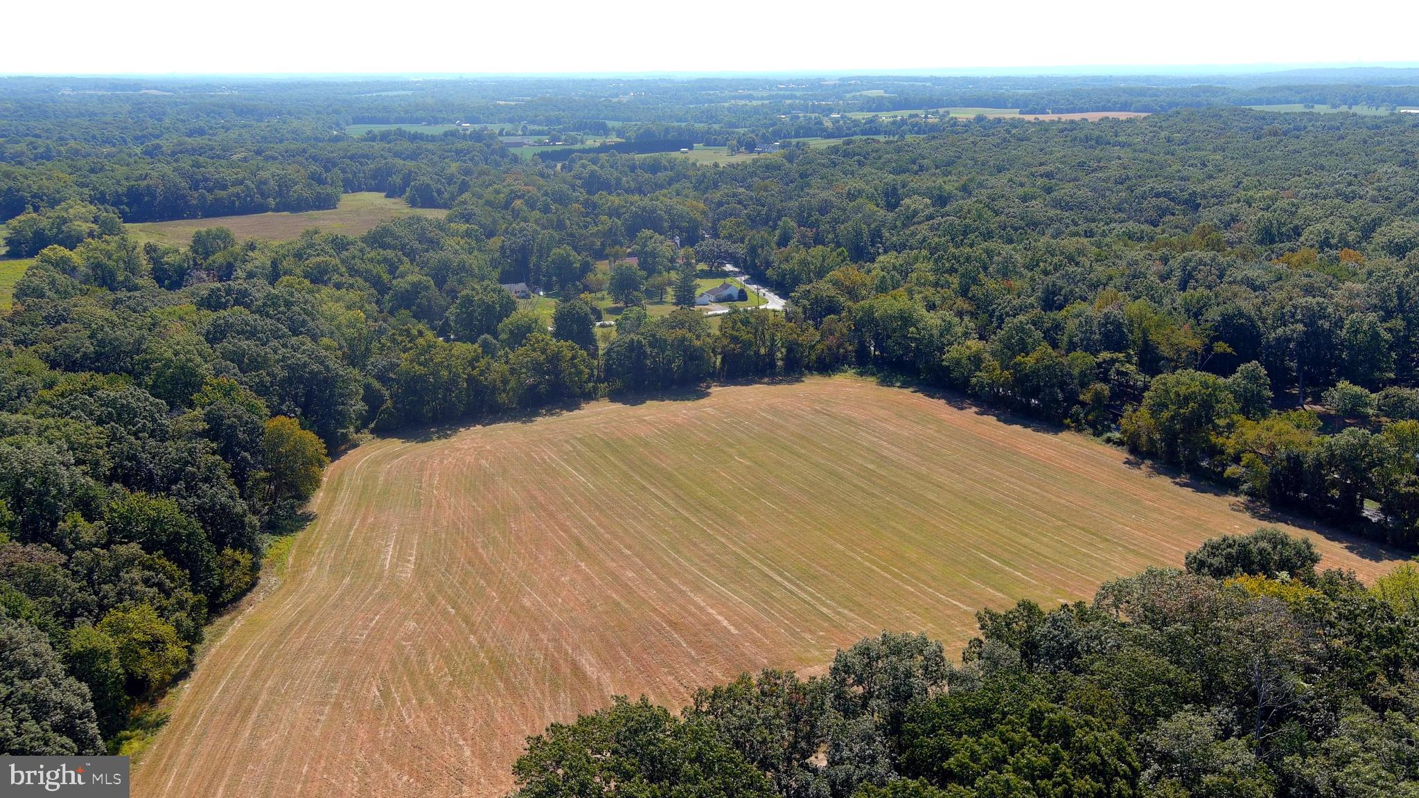 Whites Ferry Road Dickerson, MD 20842 - Photo 17 of 19