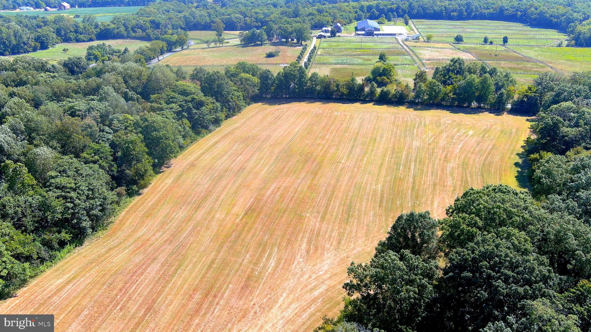 Whites Ferry Road Dickerson, MD 20842 - Photo 19 of 19
