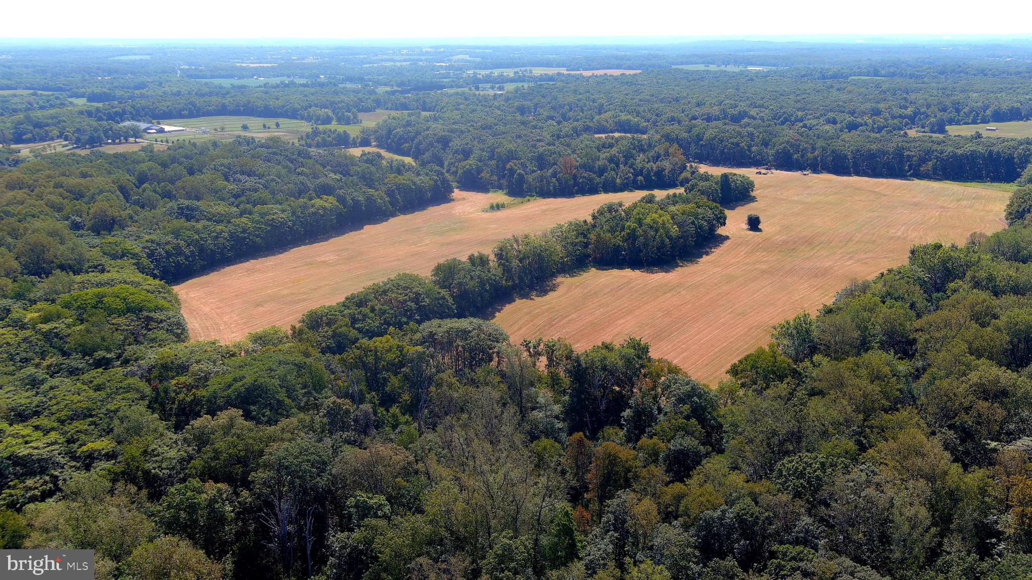 Whites Ferry Road Dickerson, MD 20842 - Photo 2 of 19