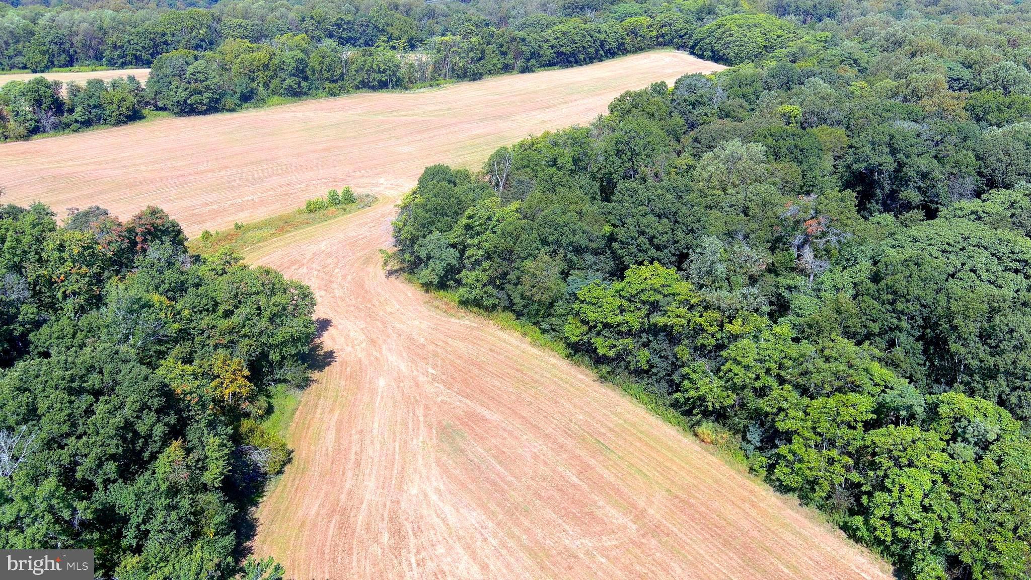 Whites Ferry Road Dickerson, MD 20842 - Photo 10 of 19