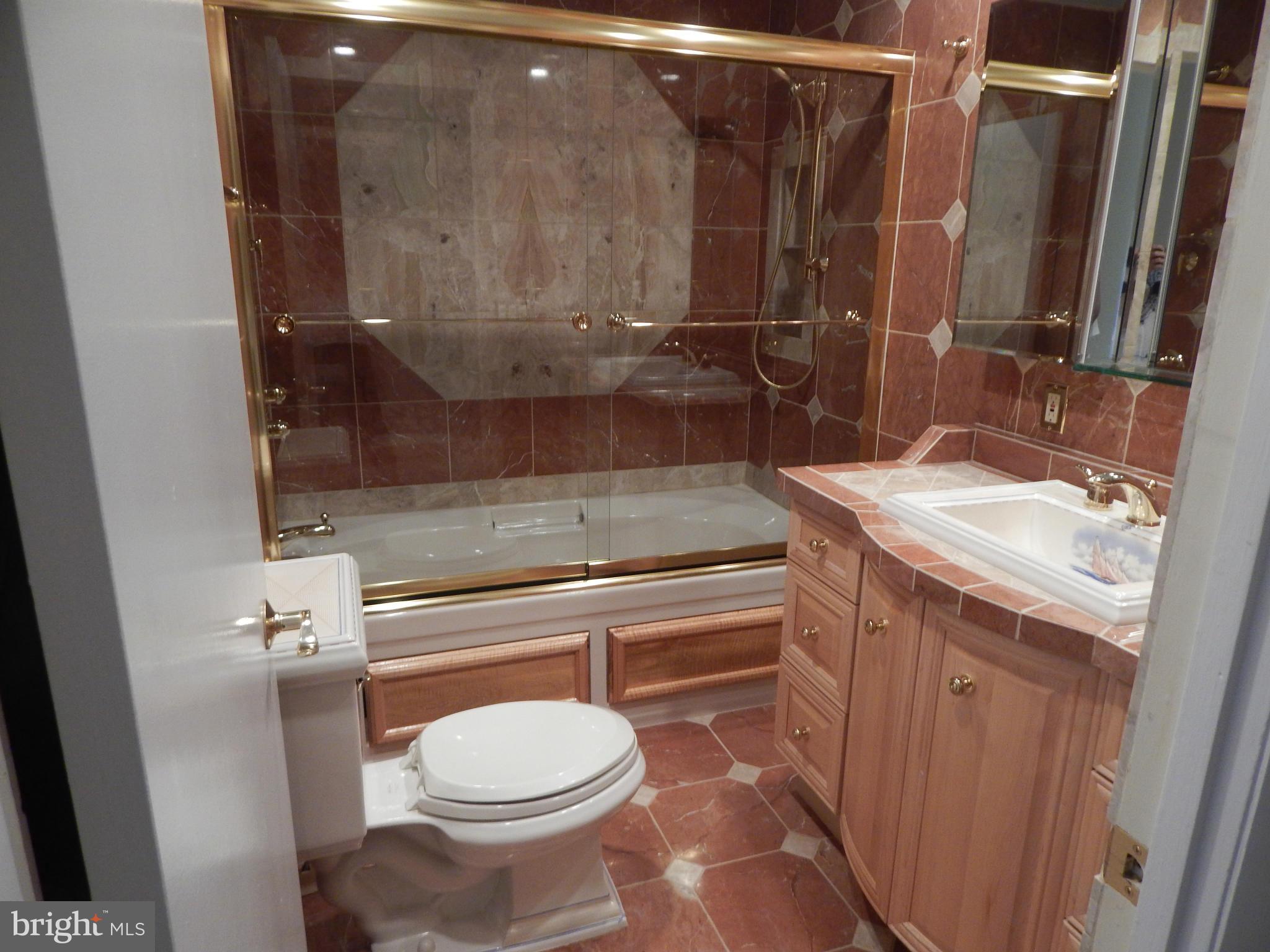 15811 John Dailey Road Accokeek, MD 20607 - Photo 15 of 30 Hall bath Marble