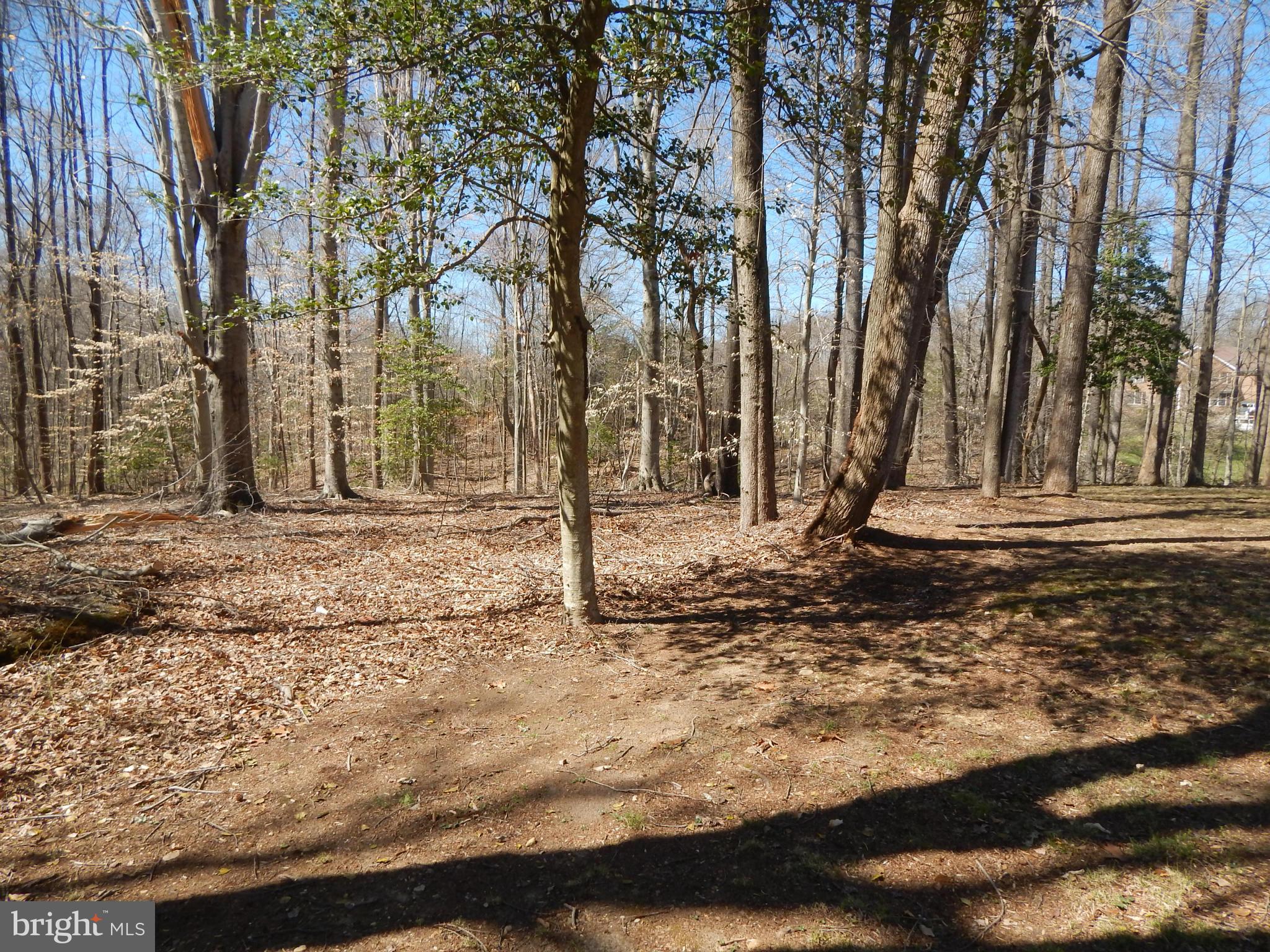 15811 John Dailey Road Accokeek, MD 20607 - Photo 29 of 30 Exterior (General)