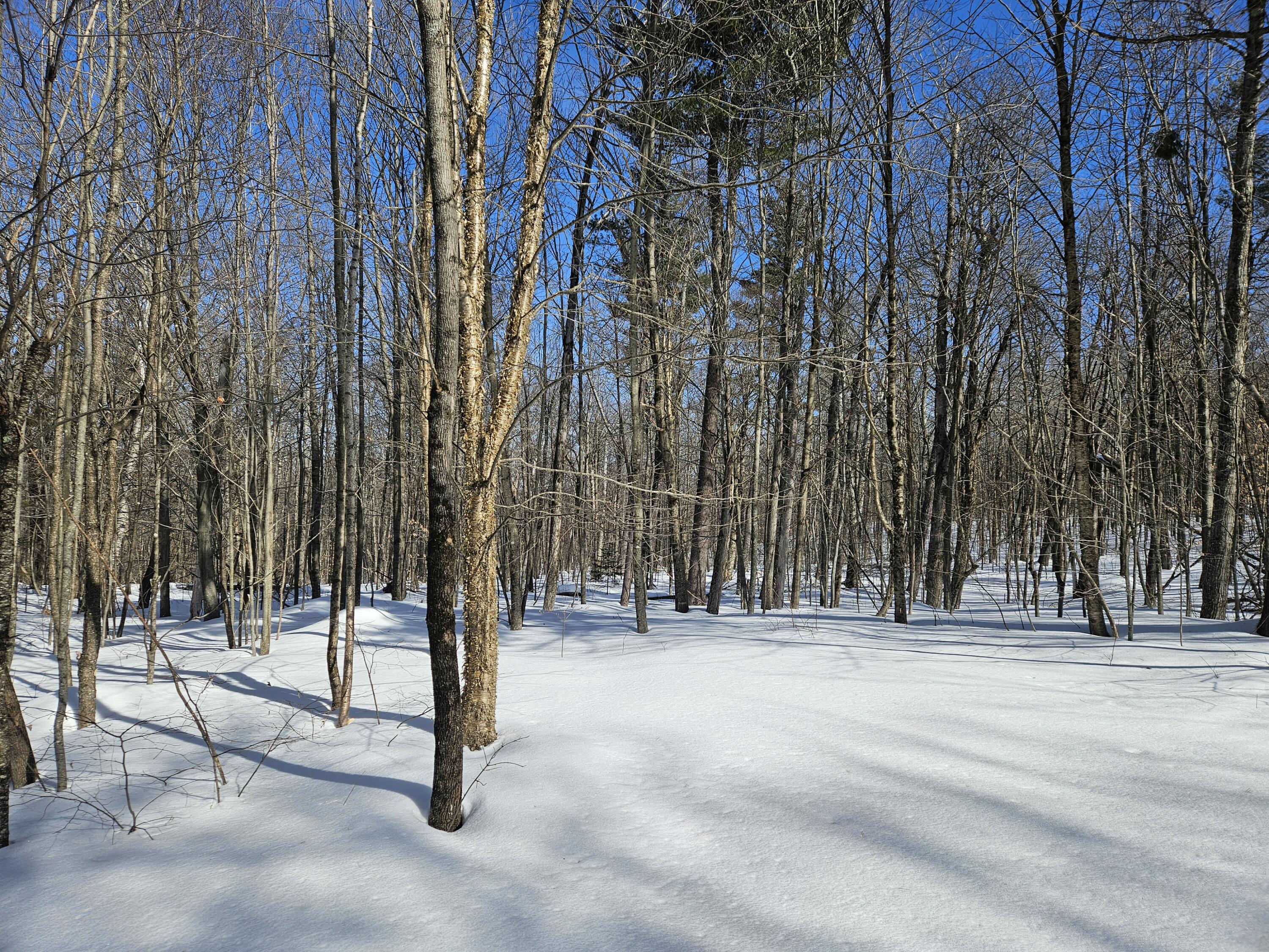 0 Canton Mountain Road Canton, ME 04221 - Photo 14 of 93