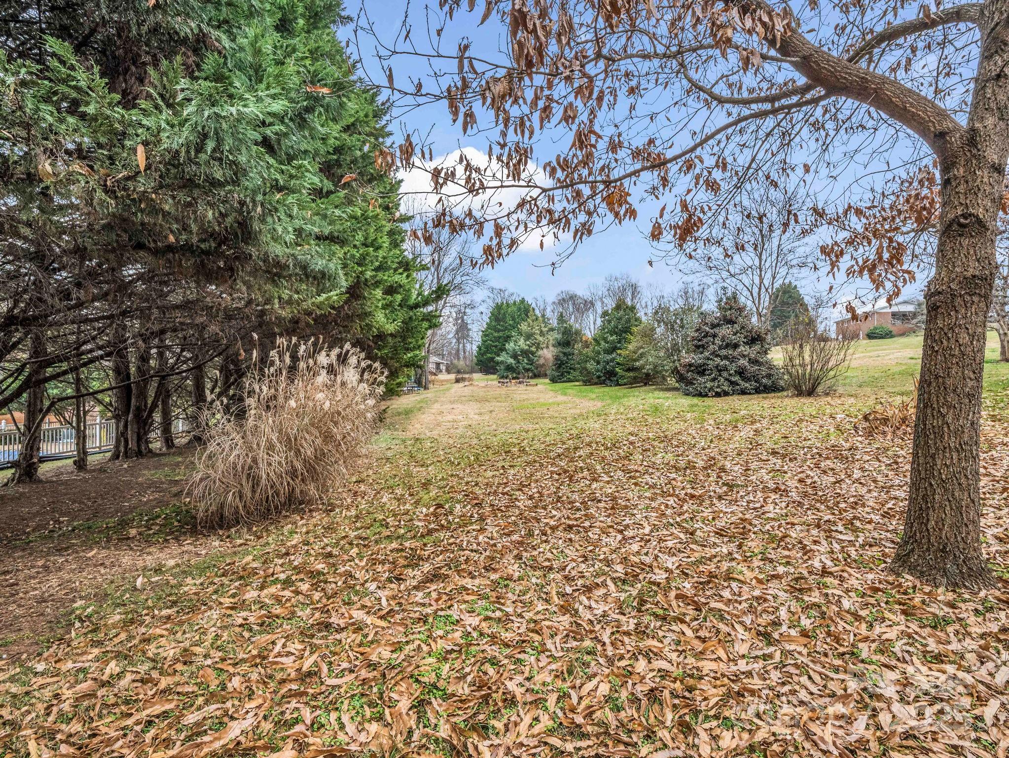 124 Fox Meadow Drive Rutherfordton, NC 28139 - Photo 39 of 46