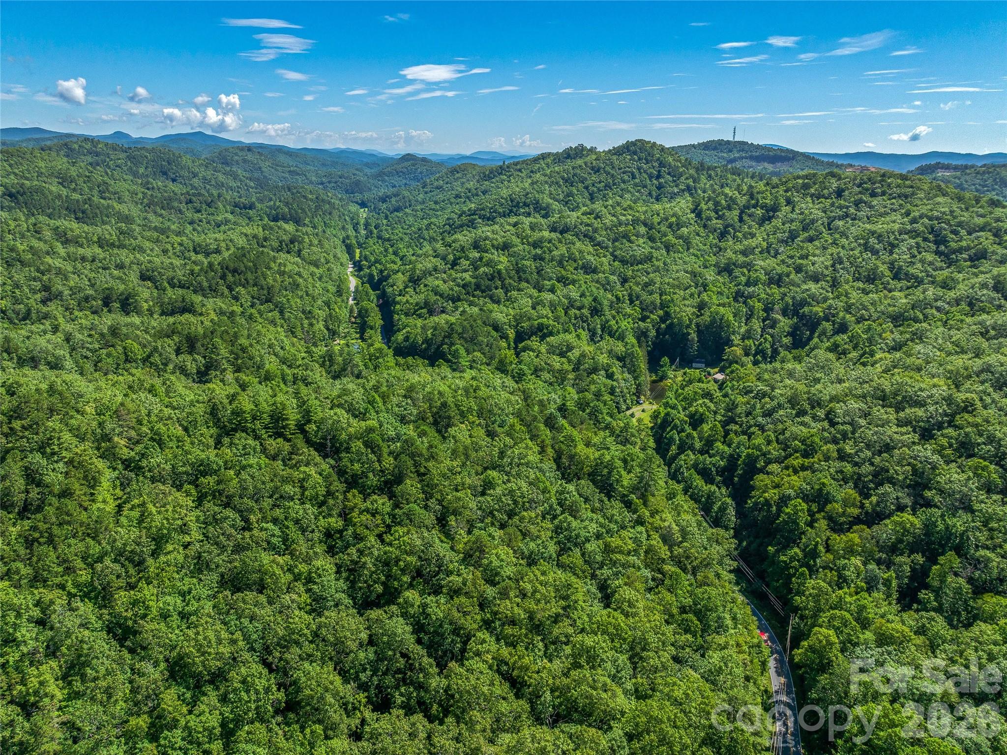 0 Frozen Creek Road Brevard, NC 28712 - Photo 25 of 35 Gallery Image 25